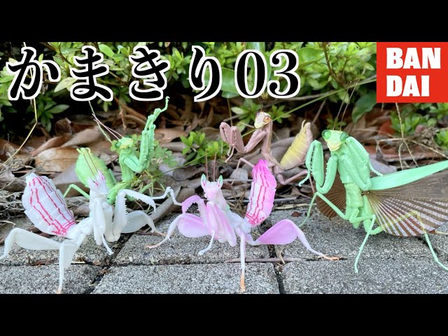 The high-quality factor of Japanese toys / playing mantis ver.03