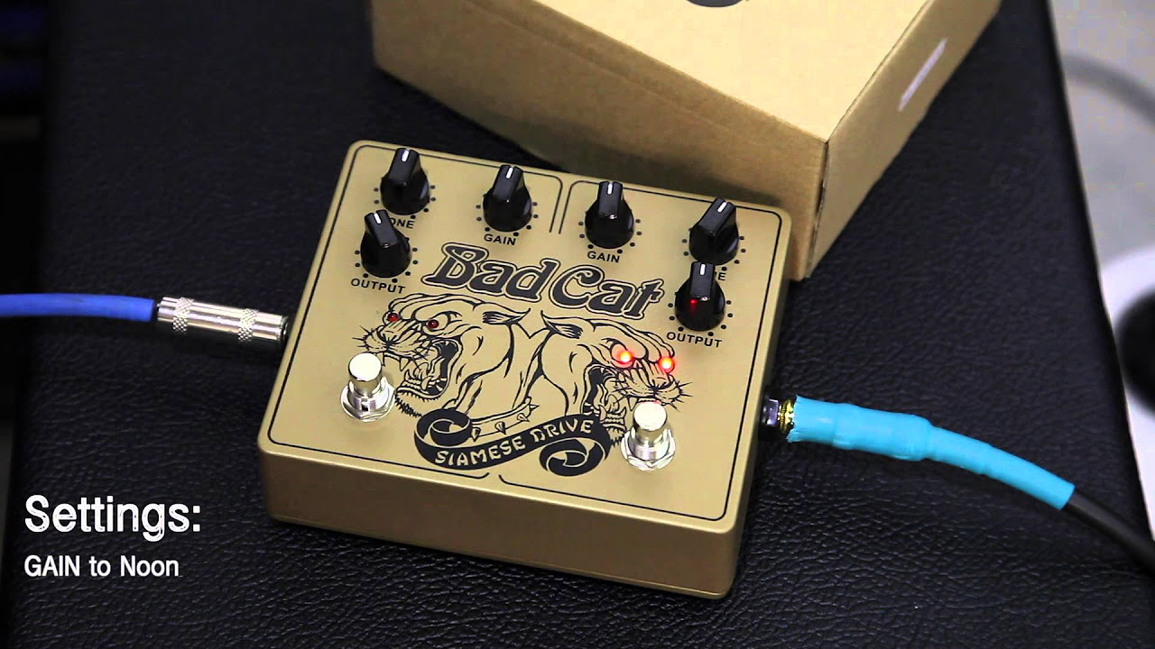 Bad Cat Siamese Drive Pedal - YouTube