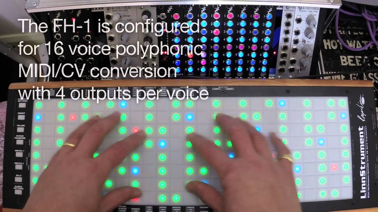Expert Sleepers - FHX-1 Output Expander for FH-1