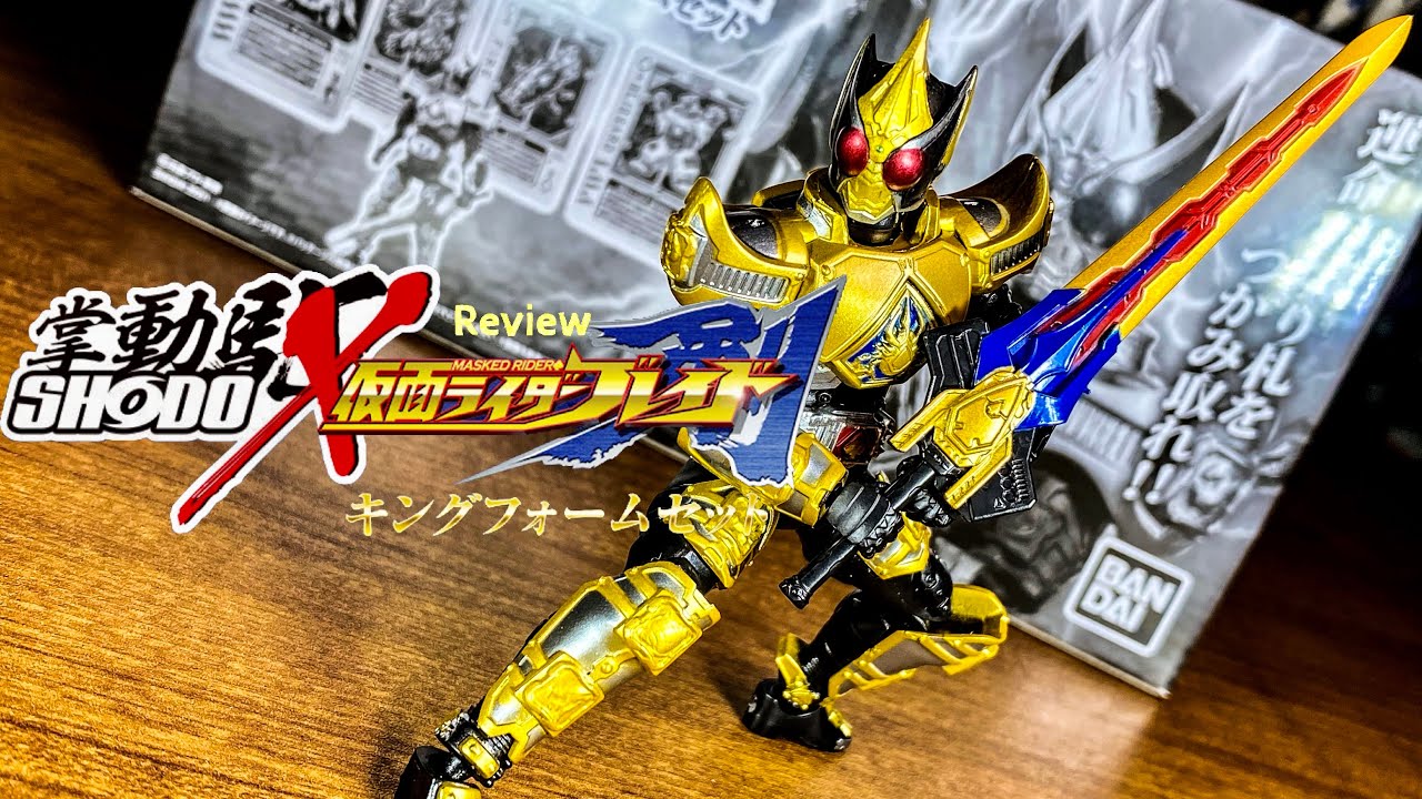 俺に、ライダーとしての資格があるのなら‼!』 SHODO-X 仮面ライダー