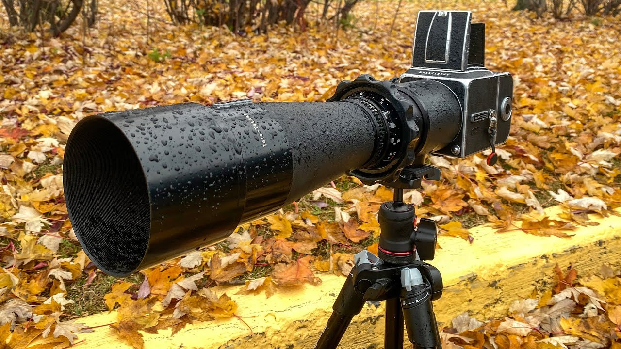 Say Hello to my Little Friend: Hasselblad Tele-Tessar 500mm f8