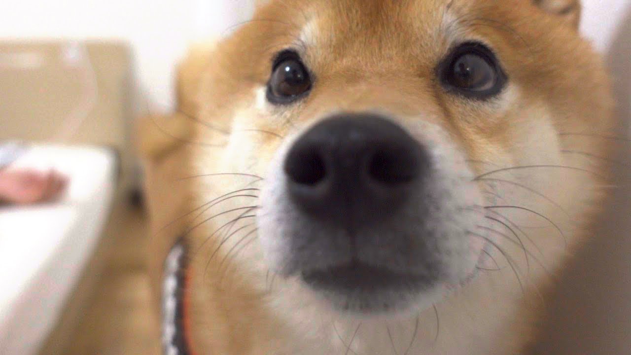 A walk without mom, when I got home, the destination where the