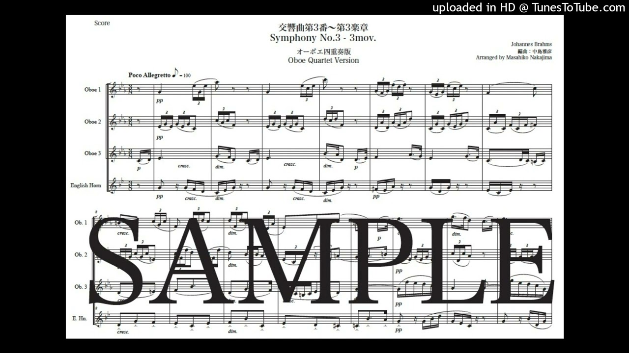 交渉歓迎 絶版 全音 ブラームス歌曲集 3 中声用 声楽譜 日本訳 交渉