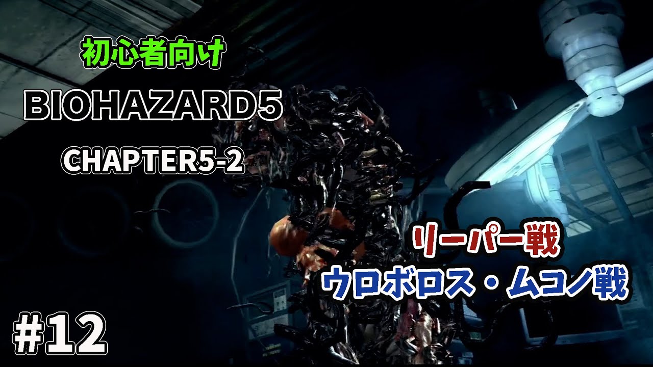 12 [Beginner] Resident Evil 5 Chapter 5-2 Walkthrough - YouTube