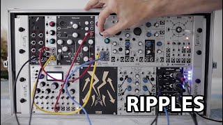 Mutable instruments Ripples (2020) - Eurorack Module on ModularGrid