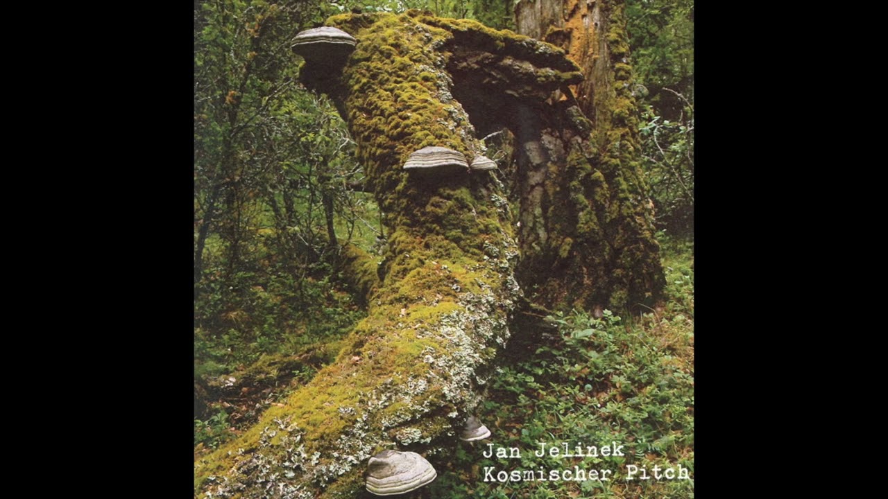 Jan Jelinek || Kosmischer Pitch (2005) Full Album - YouTube