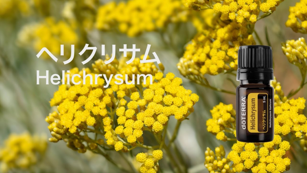 この夏ぴったりの、⁠爽快感抜群、⁠超絶フレッシュブレンドのご