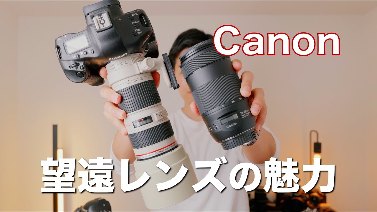 The appeal of Canon super telephoto lenses: ultrasonic motors and