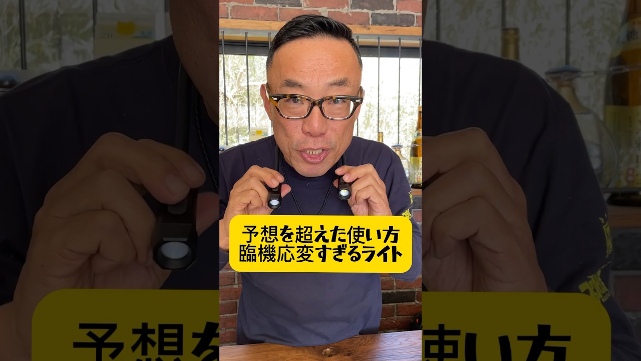 DEEN.J 充電式デュアルフレキシブルライト DNJLED-6633 | 公式