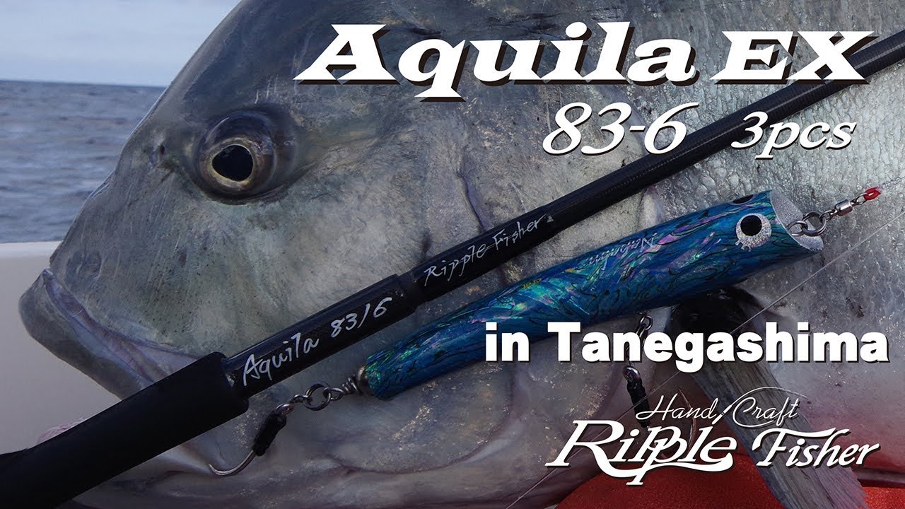 RippleFisher Aquila EX 83-6 3pc NB-EYE-TOKYO