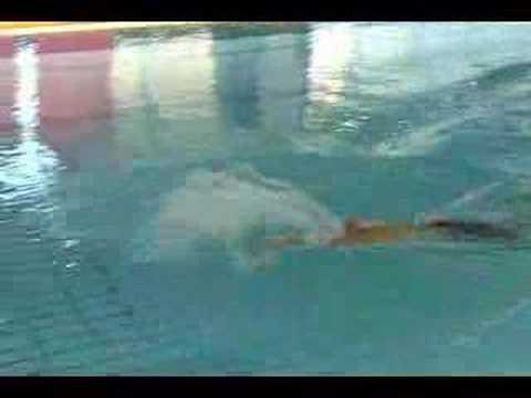 Total Immersion Butterfly Demo by Shinji Takeuchi - YouTube
