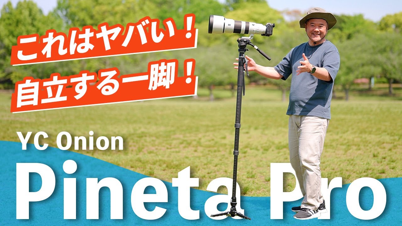 Excellent stability! I tried photographing wild birds with a self