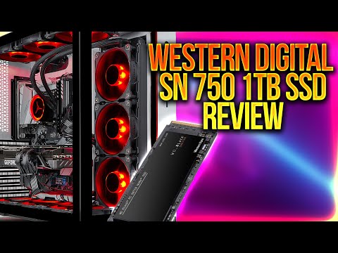WD SN750 1TB NVME SSD: Gaming + Editing Rig - YouTube