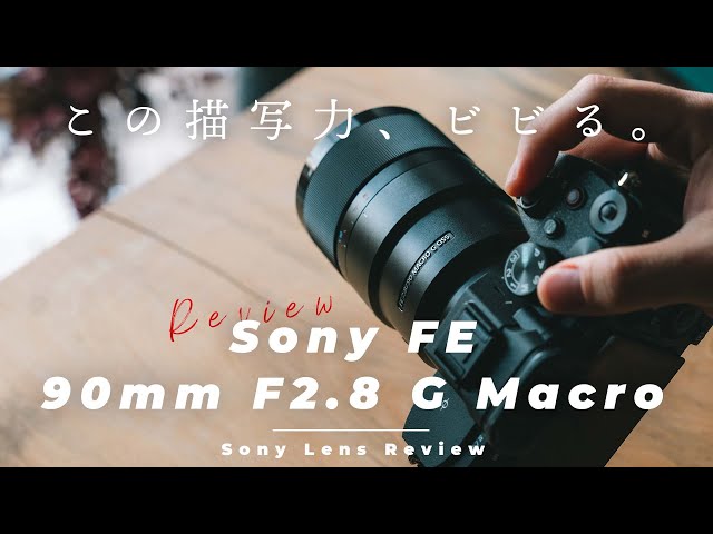 This is the lens I'm most obsessed with right now. [Sony 90mm F2.8
