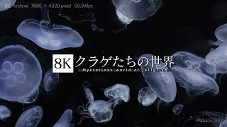 クラゲたちの世界 [8K footage] Mysterious World of Jellyfish - YouTube