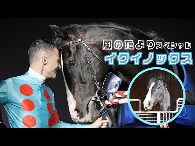 まねき馬倶楽部年度代表馬・世界一sp 2508イクイノックス