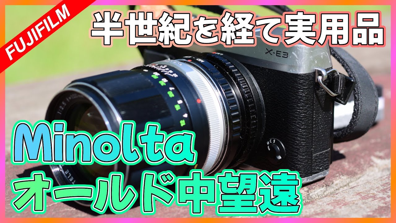 実写レビュー】クリアな描写の便利な中望遠レンズ！お花の写真に良い