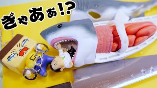 Guchio eats a shark!? Great White Shark Disassembly Puzzle! - YouTube