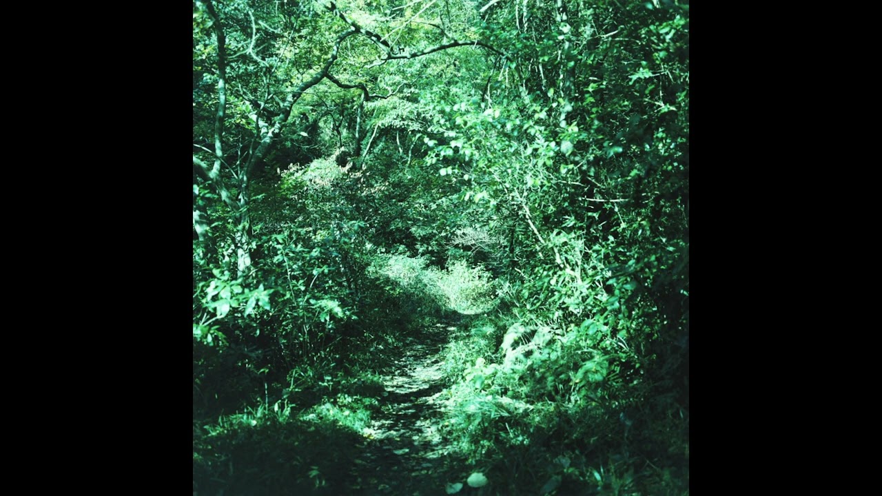 Ironomi || 琹の葉 Kotonoha (2019) Full Album - YouTube