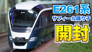 KATO E261系「サフィール踊り子」 8両セット 特別企画品 開封&紹介【N