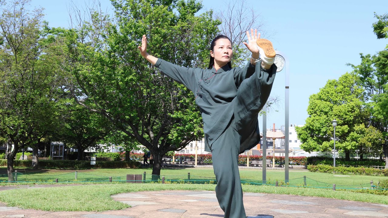 24式简化太极拳背向完整示范#黄冬梅太極拳教室 興味のある方はぜひ一度