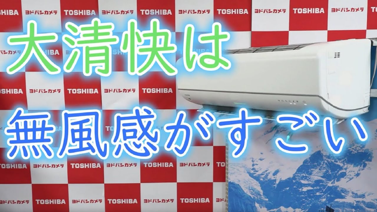 ヨドバシ.com - 東芝 TOSHIBA プラズマ空清搭載エアコン（6畳・単相