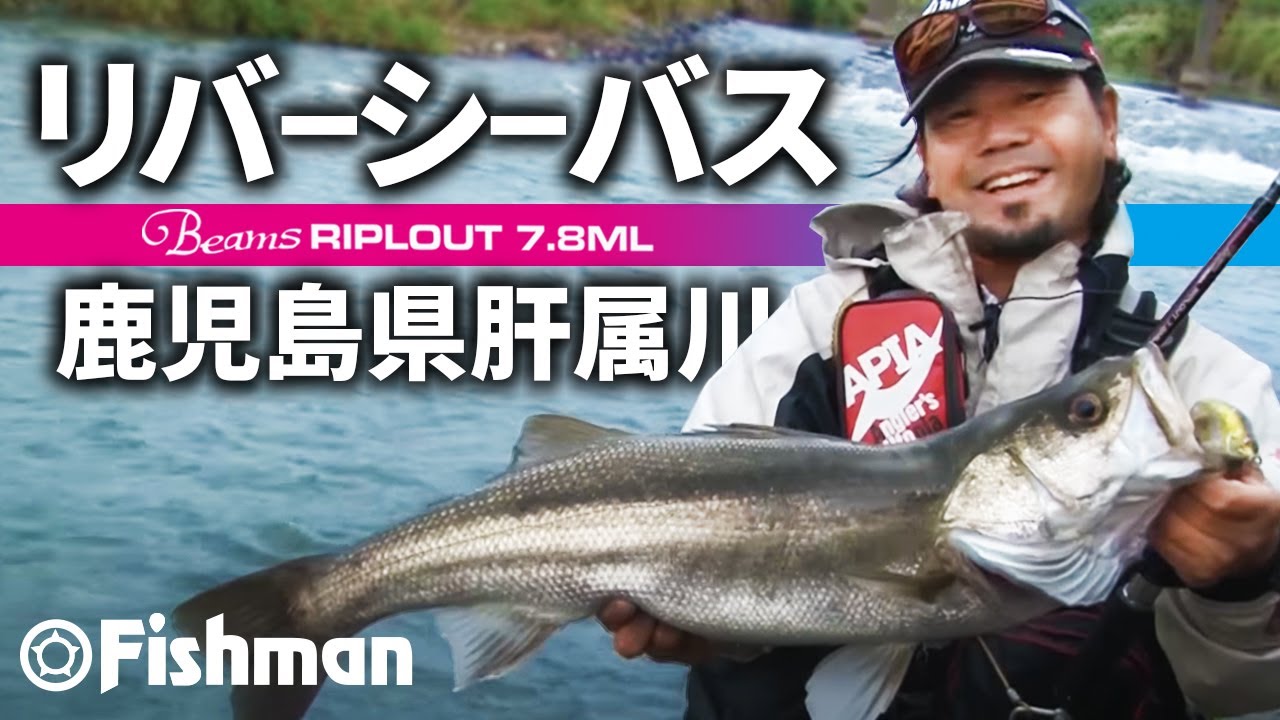 BeamsRIPLOUT 7.8ML（ビームスリプラウト）| リバーシーバスでのライト