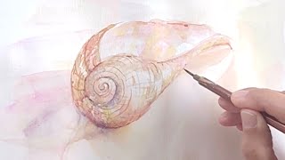 水彩画]貝殻を描く/watercolor - YouTube