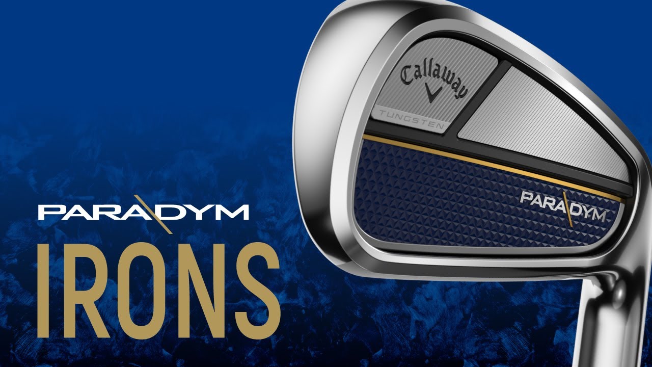 パラダイム アイアン(5本セット) N.S.PRO ZELOS 7(アイアン（セット