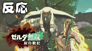 ティアキン無双【反応】封印戦記 [Nintendo Direct ソフトメーカー