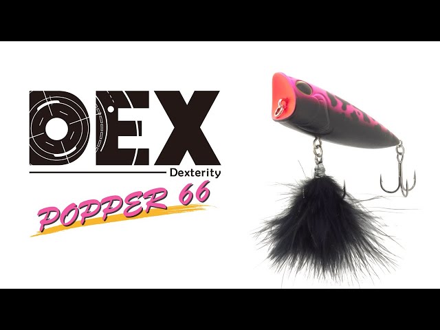 拘りのポップ音が誘う。マラブーフックの揺らめきが喰わせる。魅惑の