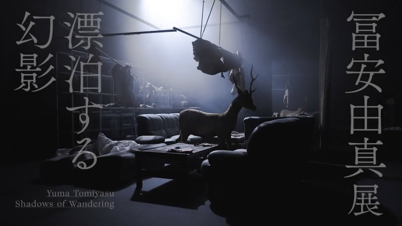 冨安由真展 | 漂泊する幻影 | Yuma Tomiyasu | Shadows of Wandering