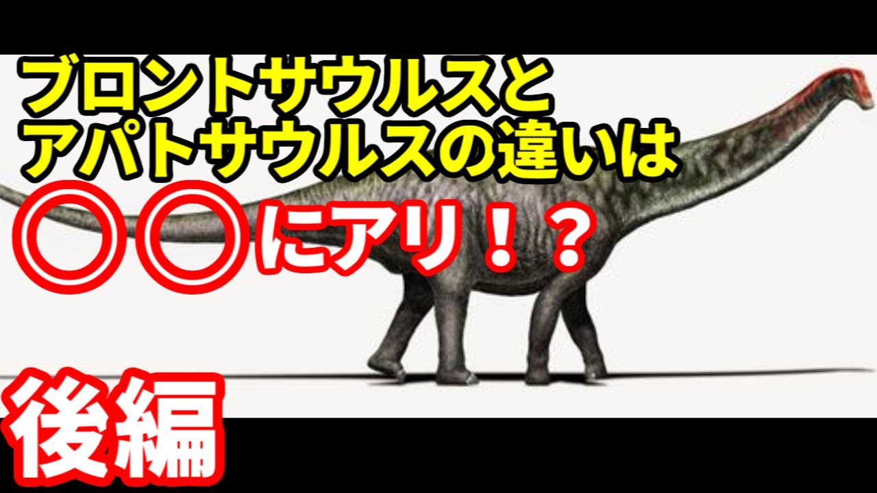 ゆっくり解説】ブロントサウルスとアパトサウルスの違い【ゆっくりが