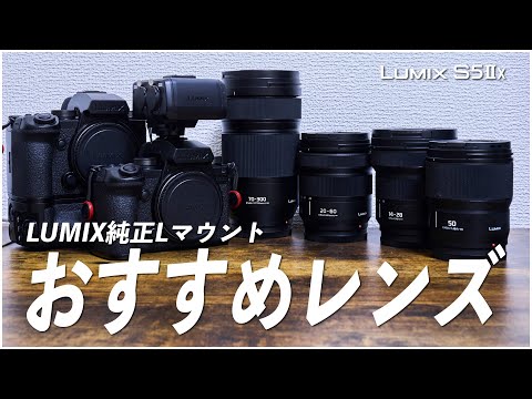 作例多数】LUMIX S5II/S5IIX Wレンズキットと合わせて買いたい純正