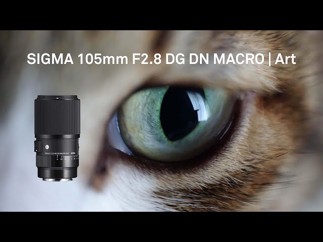 日常さえも想像以上：SIGMA 105mm F2.8 DG DN MACRO | Art - YouTube