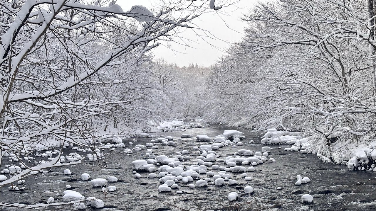 2024年12月16日】奥入瀬渓流〜十和田湖ドライブ【積雪量今年暫定No. 1
