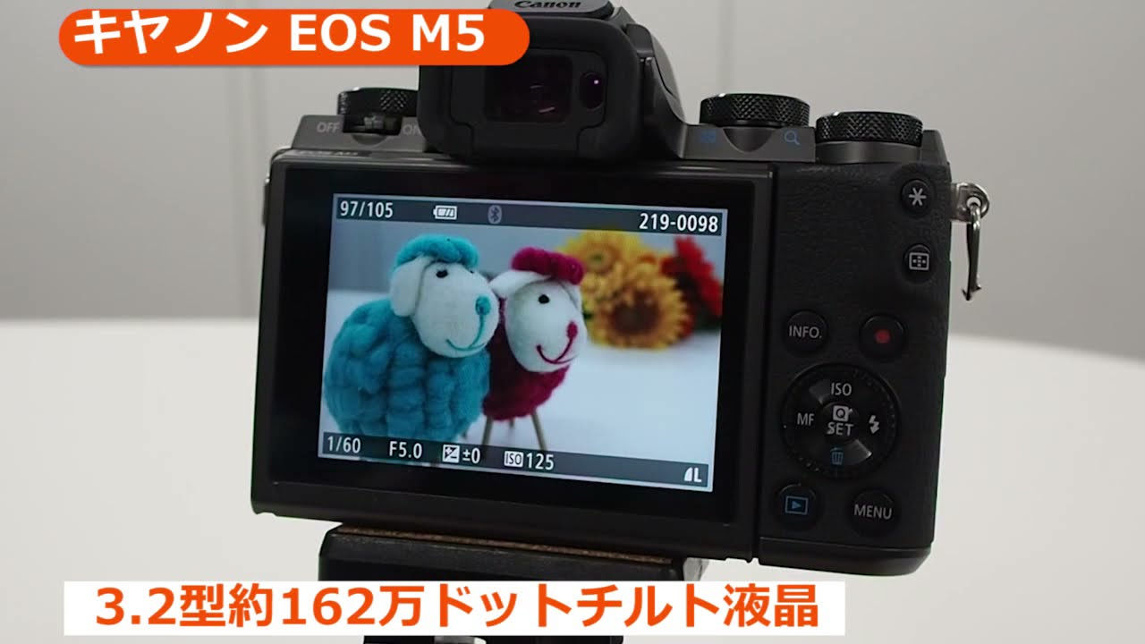 キヤノン EOS M5 ボディ | ミラーレス一眼