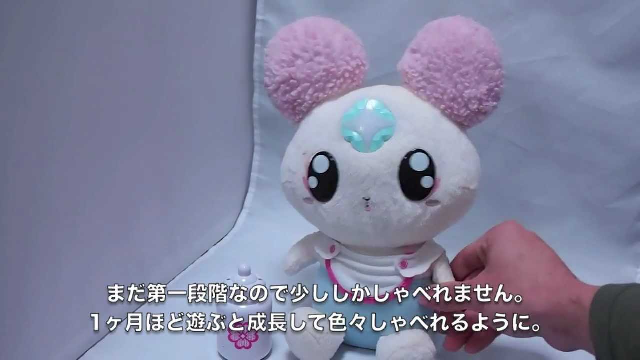 フレッシュプリキュア! シフォンお世話になります(第一段階) Fresh