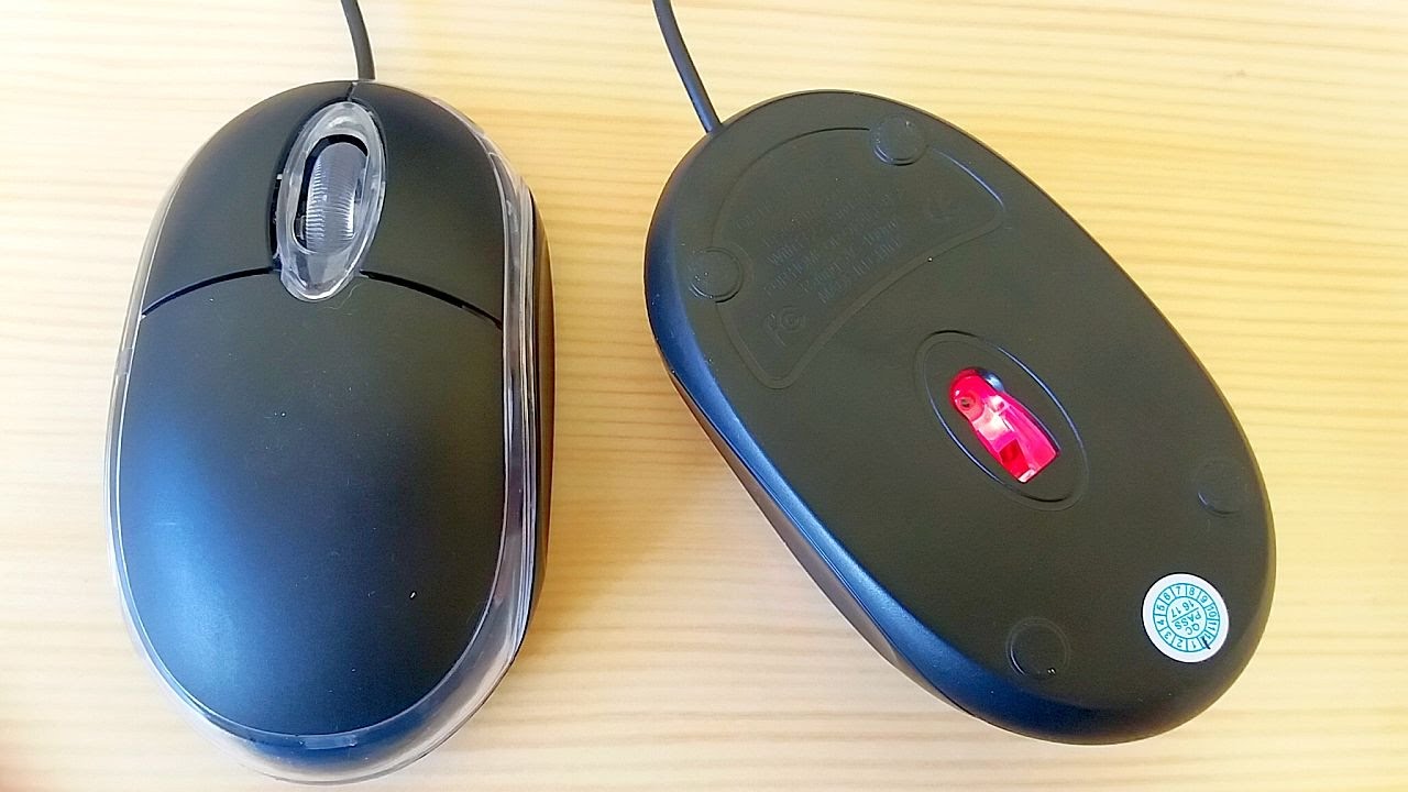 洋書・美品】What's Wrong with my Mouse? 洋書・美品】What´s Wrong