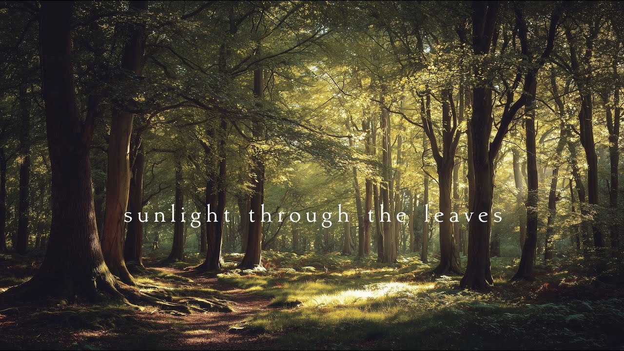 Sadayasu Fujii Trio ‎– Like A Child 1977 - YouTube