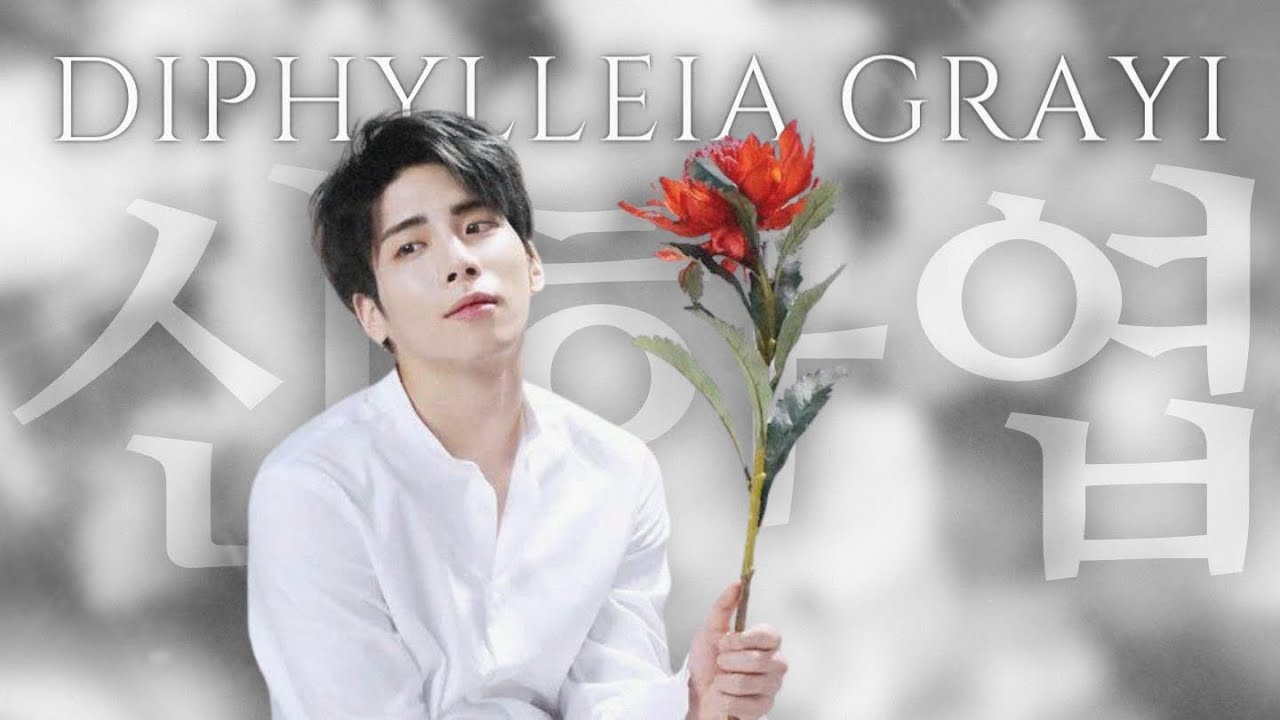 JONGHYUN 종현 'No.4 산하엽 (Diphylleia grayi)' cover - YouTube