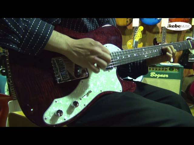 池部楽器店】Freedom Custom Guitar Research Brown Pepper Flame