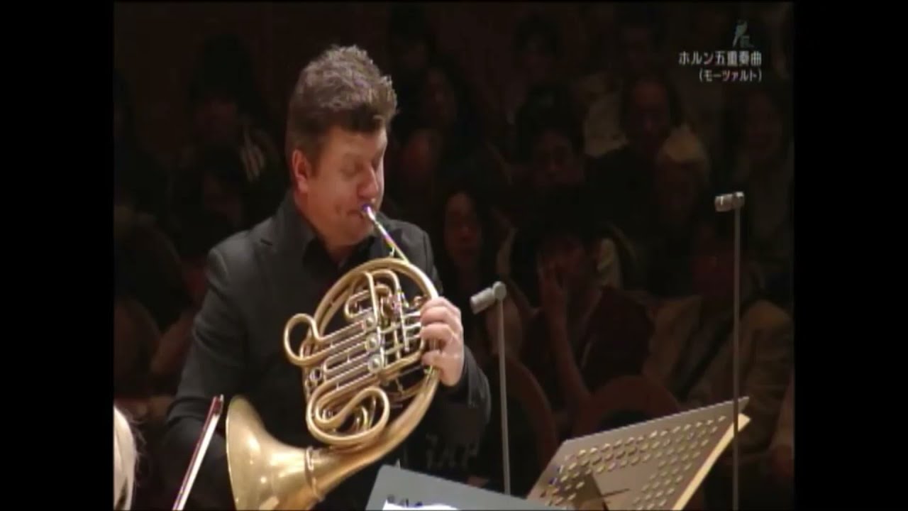 maxresdefault.jpg?sqp=-