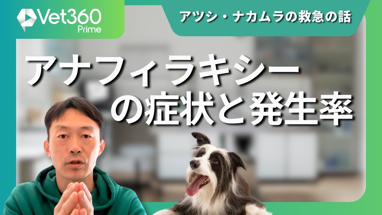 SA Medicine BOOKS 犬と猫の検査・手技ガイド2019 私はこう読む【動物