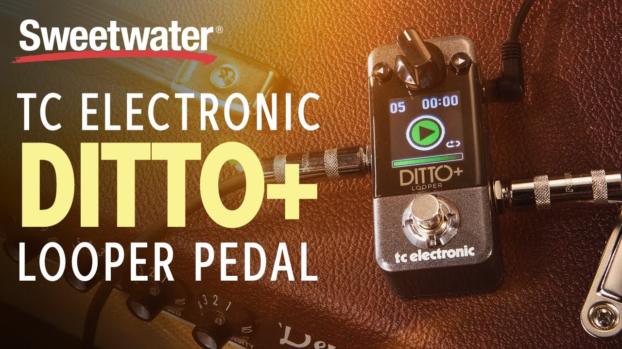 TC Electronic | Product | DITTO+ LOOPER