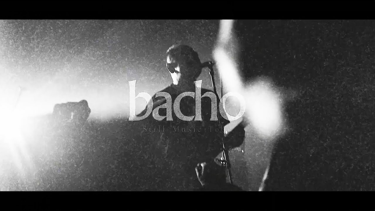 bacho Official Website