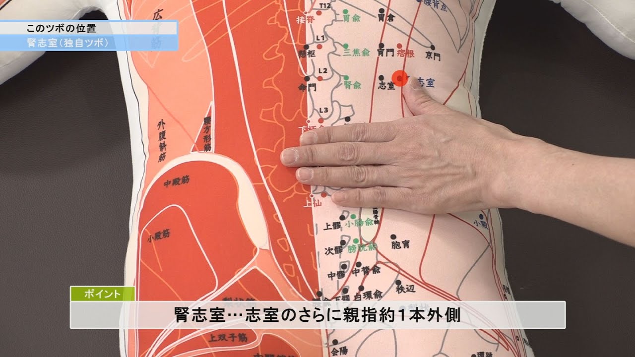 DVD 効かせるツボの教室