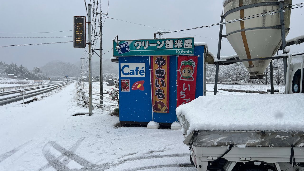 2026-02-21Snow Strawberry Part 2 - YouTube