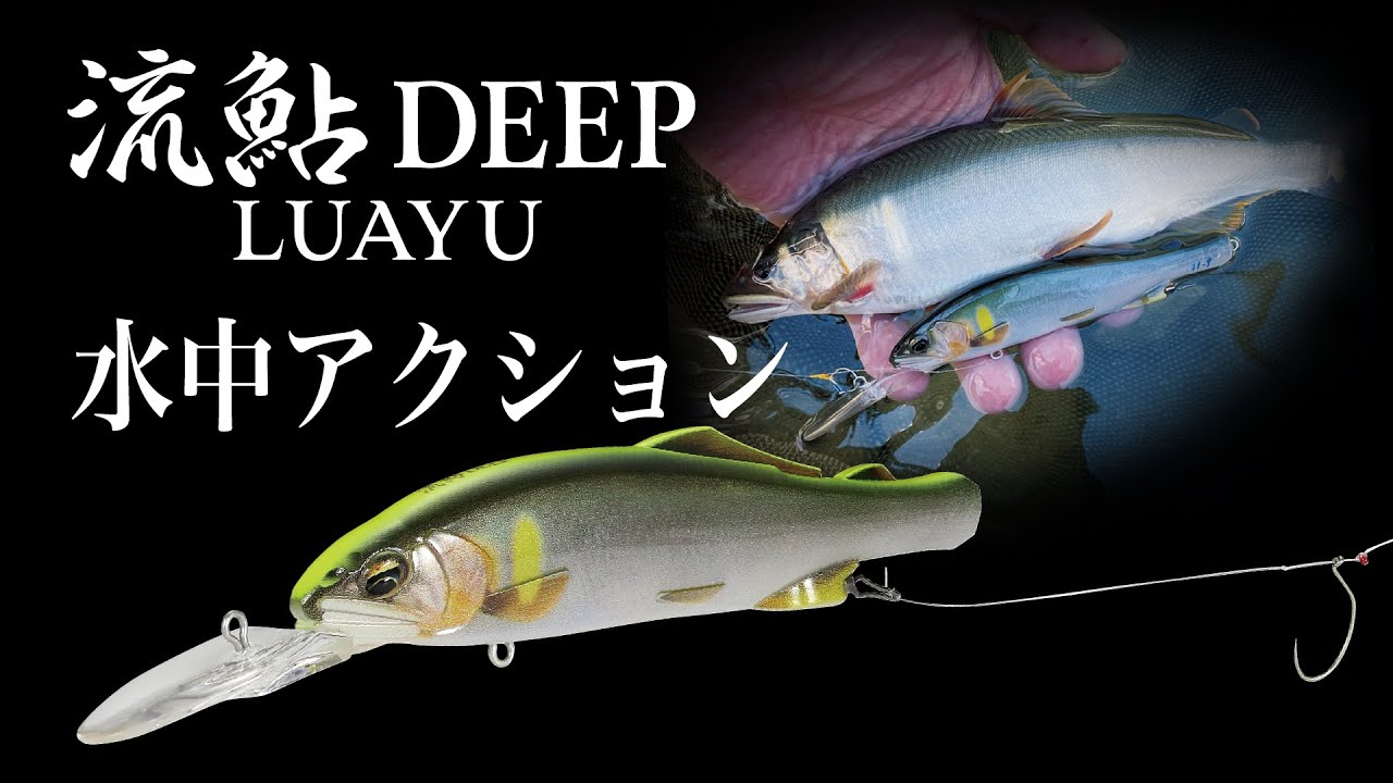 流鮎 DEEP - 鮎｜製品情報｜DUO International / ルアーメーカー デュオ