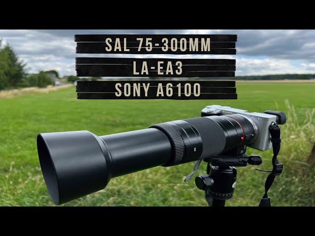 Sony SAL 75-300 mm 4.5-5.6 & LA-EA3 & A6100 APS-C I Alternative to
